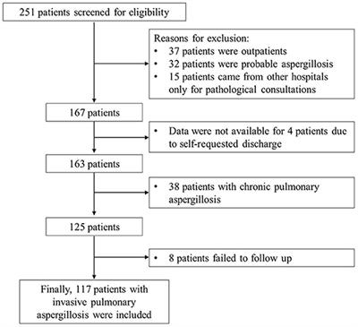 Clinical Characteristics and Prognostic Risk Factors of Patients With Proven Invasive Pulmonary Aspergillosis: A Single-Institution Retrospective Study